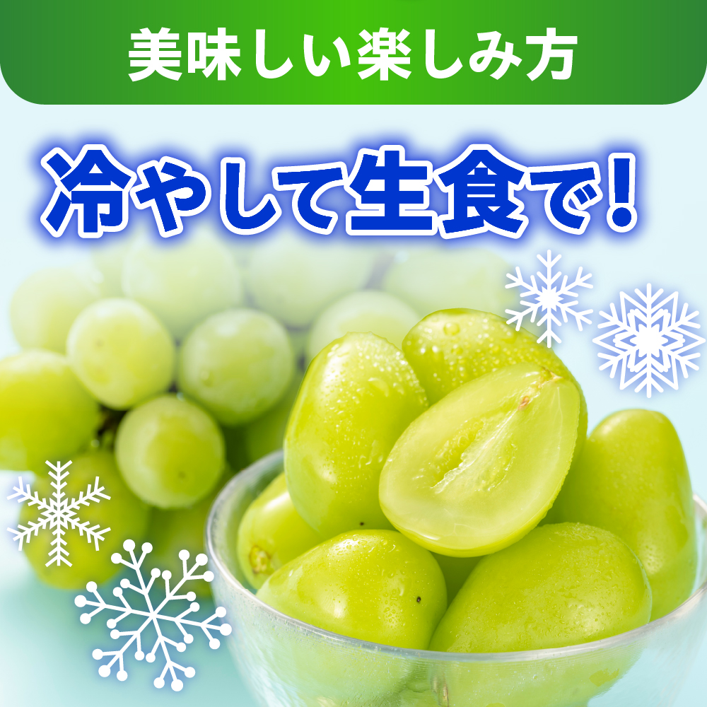 ãå
è¡äºçŽã 什å8å¹Žç£ èš³ãã ã·ã£ã€ã³ãã¹ã«ãã 1kg 2026幎9æäžæ¬é ïœãå±ãäºå®