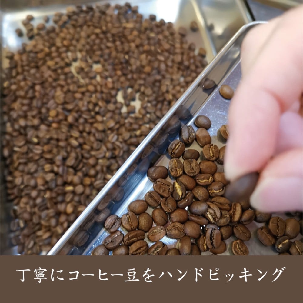 【3ヶ月定期便】 鷹山堂蔵造り焙煎コーヒー豆 2種類各100g（計200g）/月