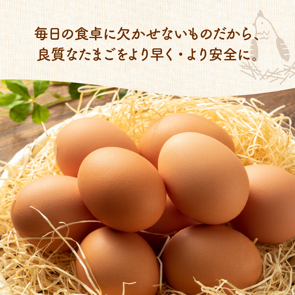 特選 紅花 生たまご 20個 贈答 ギフト 卵 赤玉 たまご 鶏卵 生卵 玉子 濃厚 極上 産地直送 新鮮 産みたて 山形県 米沢市
