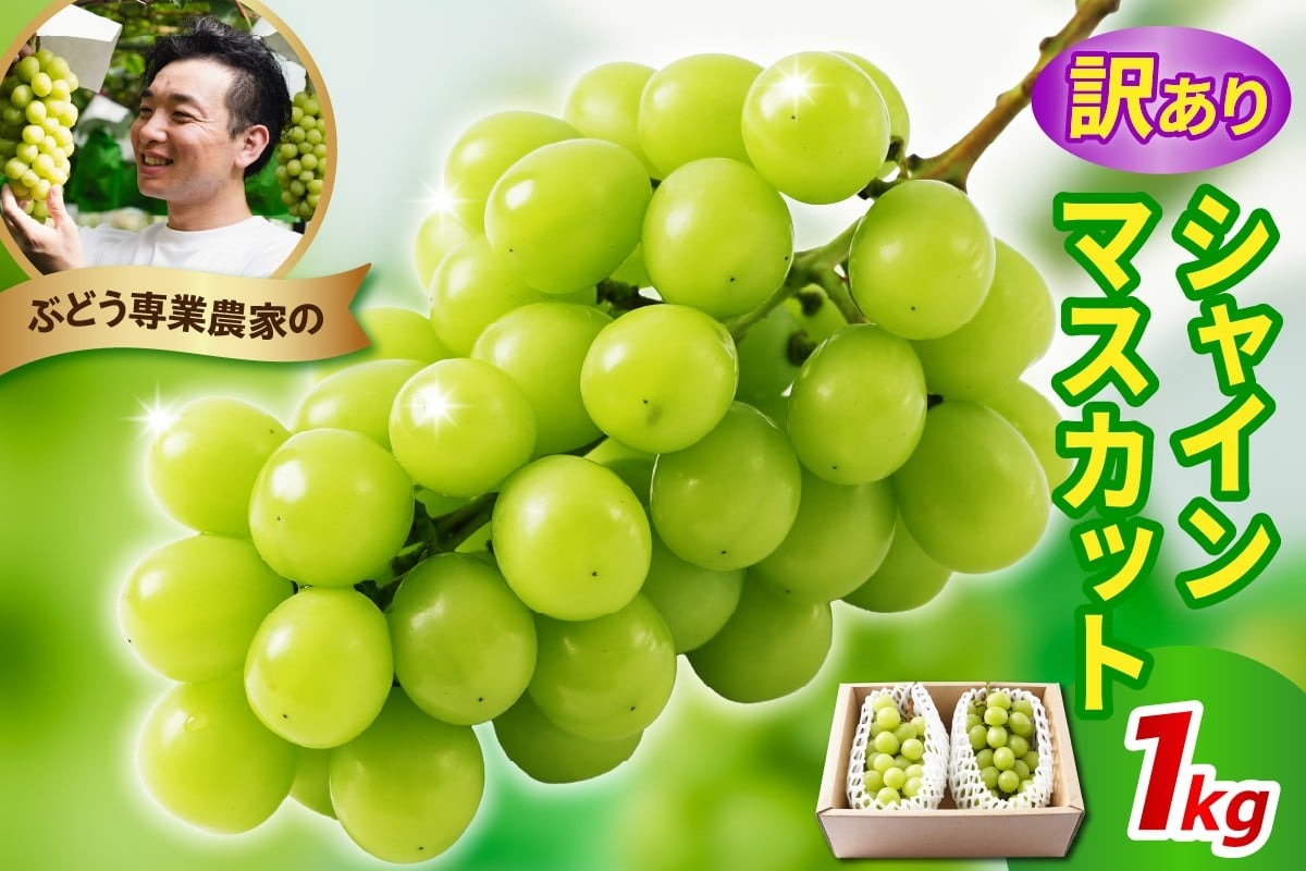 【先行予約】 令和8年産 訳あり シャインマスカット 1kg 2026年9月上旬頃～お届け予定