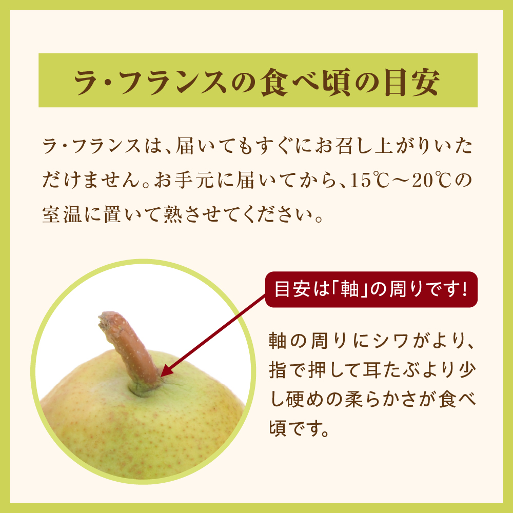 【先行予約】 令和8年産 りんご ＆ ラ・フランス 詰め合わせ セット 各 約2kg 計 約4kg サンふじ 西洋梨 2026年11月中旬～下旬頃 お届け予定 山形県 米沢市