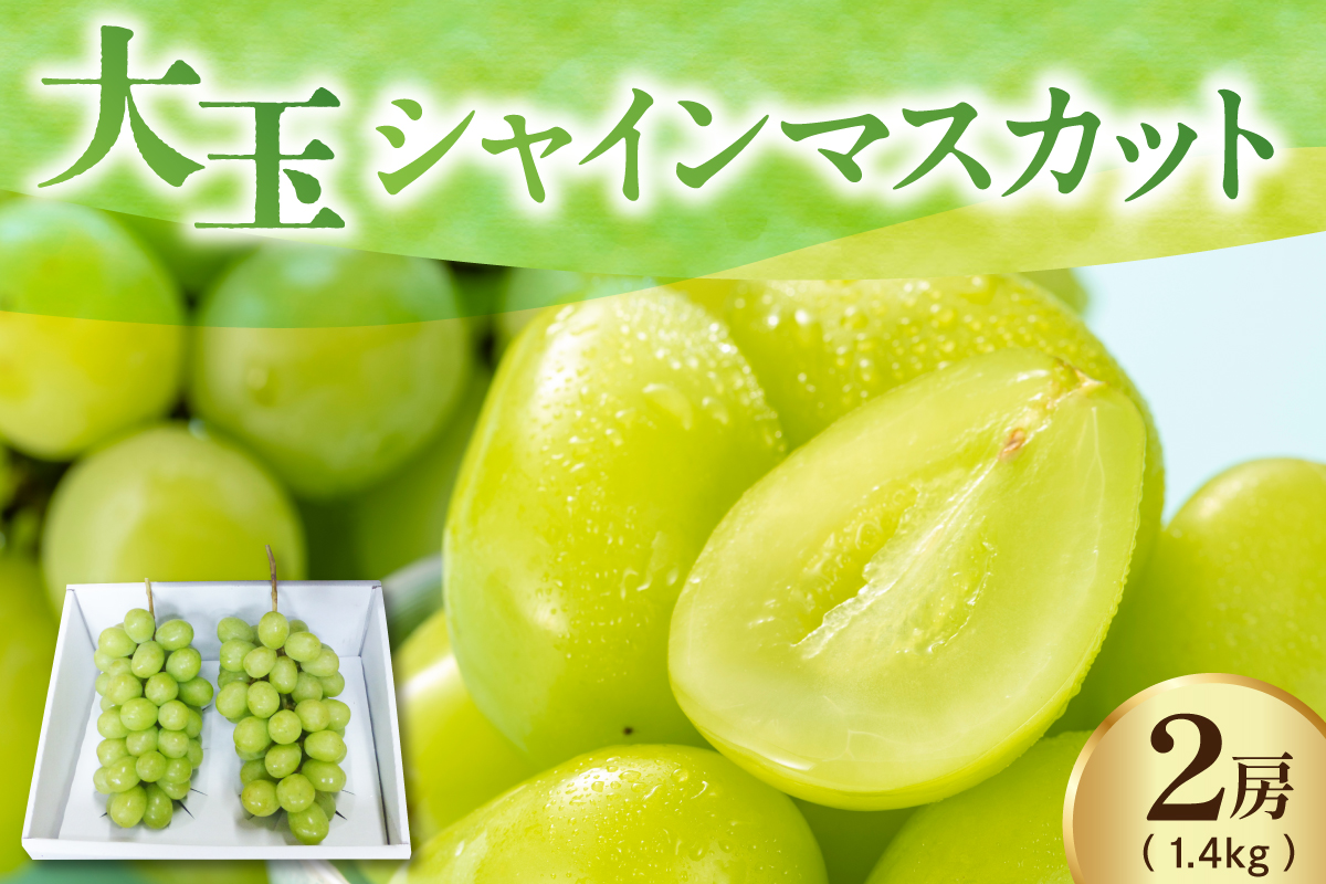 【先行予約】 【数量限定】 令和8年産 大玉 シャインマスカット 2房 1.4kg 2026年9月上旬頃～お届け予定
