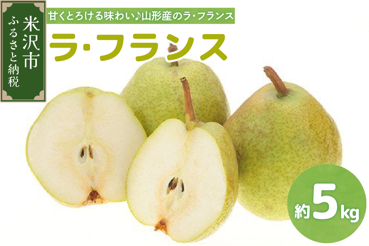 【先行予約】 令和8年産 ラ・フランス 約5kg 14玉 ～ 16玉 西洋梨 2026年11月上旬～12月上旬 お届け予定 山形県 米沢市
