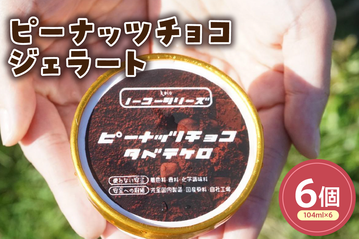 ピーナッツチョコジェラート(104ml)〔6個入り〕 ピーナッツ アイス スイーツ 洋菓子 お菓子 デザート 贈答 贈り物 ギフト プレゼント お取り寄せ 送料無料 山形県 米沢市
