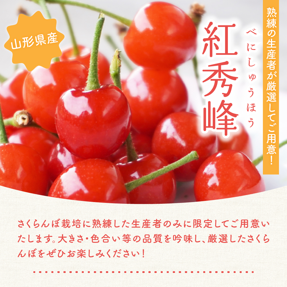 【先行予約】 令和8年産 さくらんぼ 紅秀峰 700g ( バラ詰め ) 2026年6月下旬～7月上旬頃お届け予定 山形県 米沢市