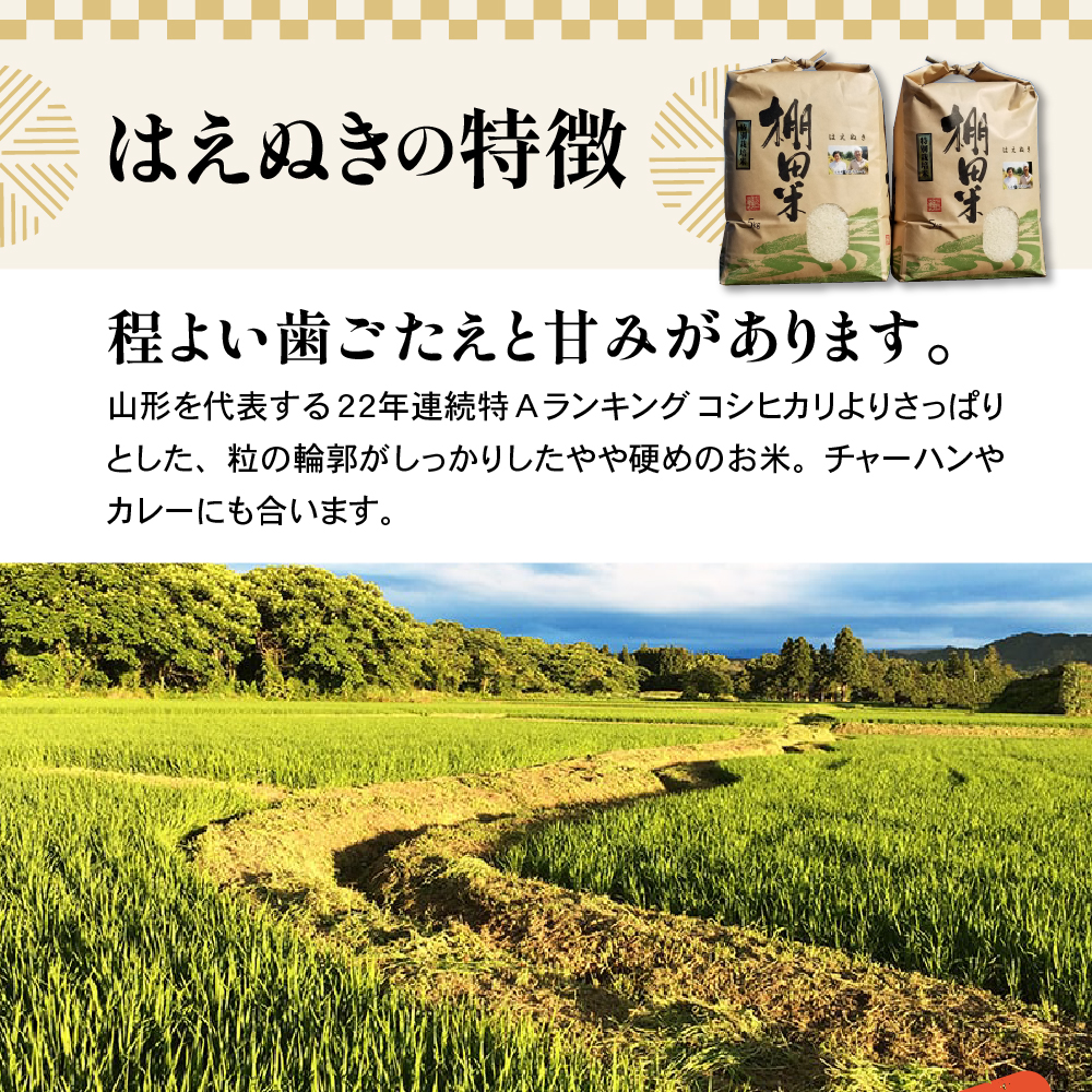 令和7年産 米沢米 棚田米 はえぬき 10kg ( 5kg×2袋 )