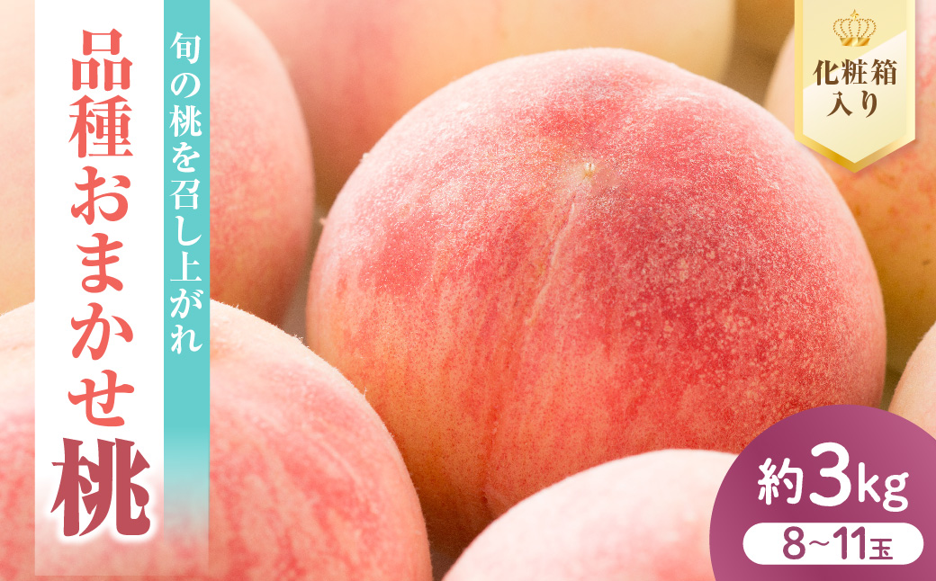 【先行予約】 数量限定 令和8年産 もも 品種 おまかせ 約3kg 8～11玉 桃 2026年8月中下旬～9月上旬頃 お届け予定 山形県 米沢市