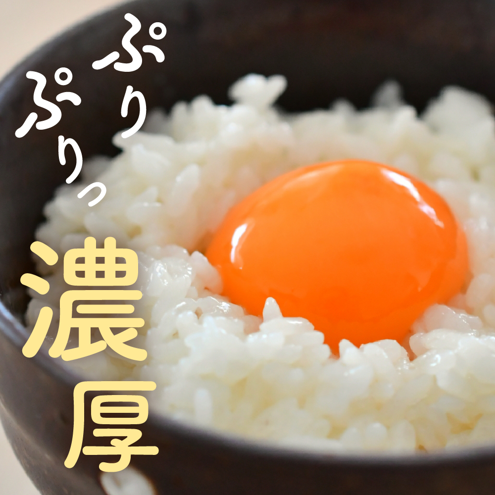 紅花たまご 60個セット 10個×6パック 卵 たまご 赤玉 鶏卵 黄身 白身 産みたて 卵かけ ご飯 親子丼 オムレツ 朝食 たんぱく質 新鮮 栄養 濃厚 甘み コク 山田鶏卵 送料無料 山形県 米沢市