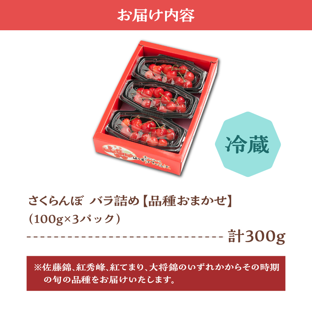 【先行予約】 令和8年産 さくらんぼ 300g ( 100g × 3パック ) 品種おまかせ ( 佐藤錦 紅秀峰 紅てまり 大将錦 いずれか )