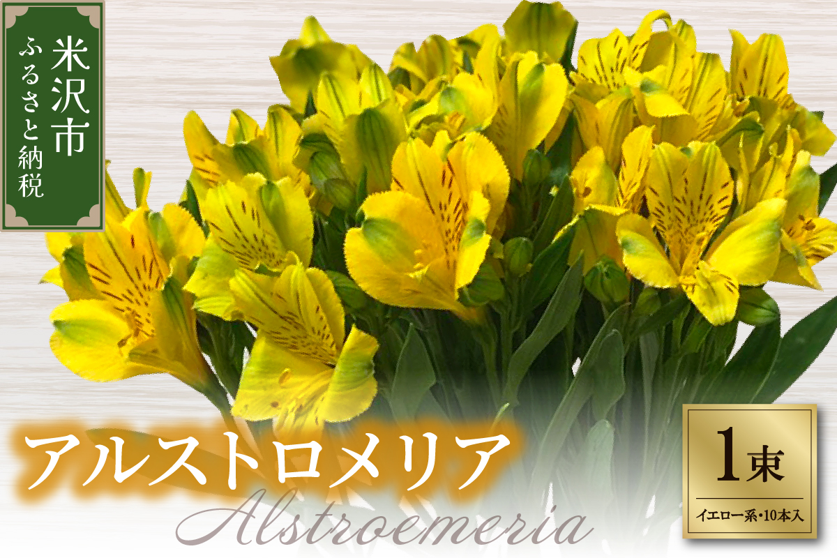 アルストロメリア 1束 ( 10本入り ) イエロー系 切り花