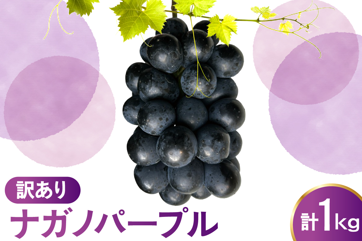 【先行予約】 令和8年産 訳あり ぶどう ナガノパープル 1kg 2026年9月上旬頃～お届け予定