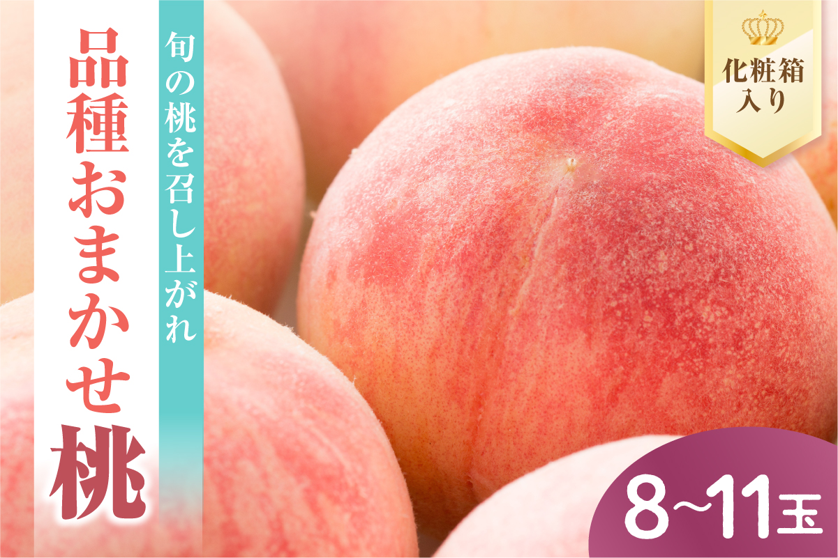 【先行予約】 数量限定 令和8年産 もも 化粧箱入 8～11玉 品種 おまかせ 2026年8月中下旬～9月上旬頃 お届け予定