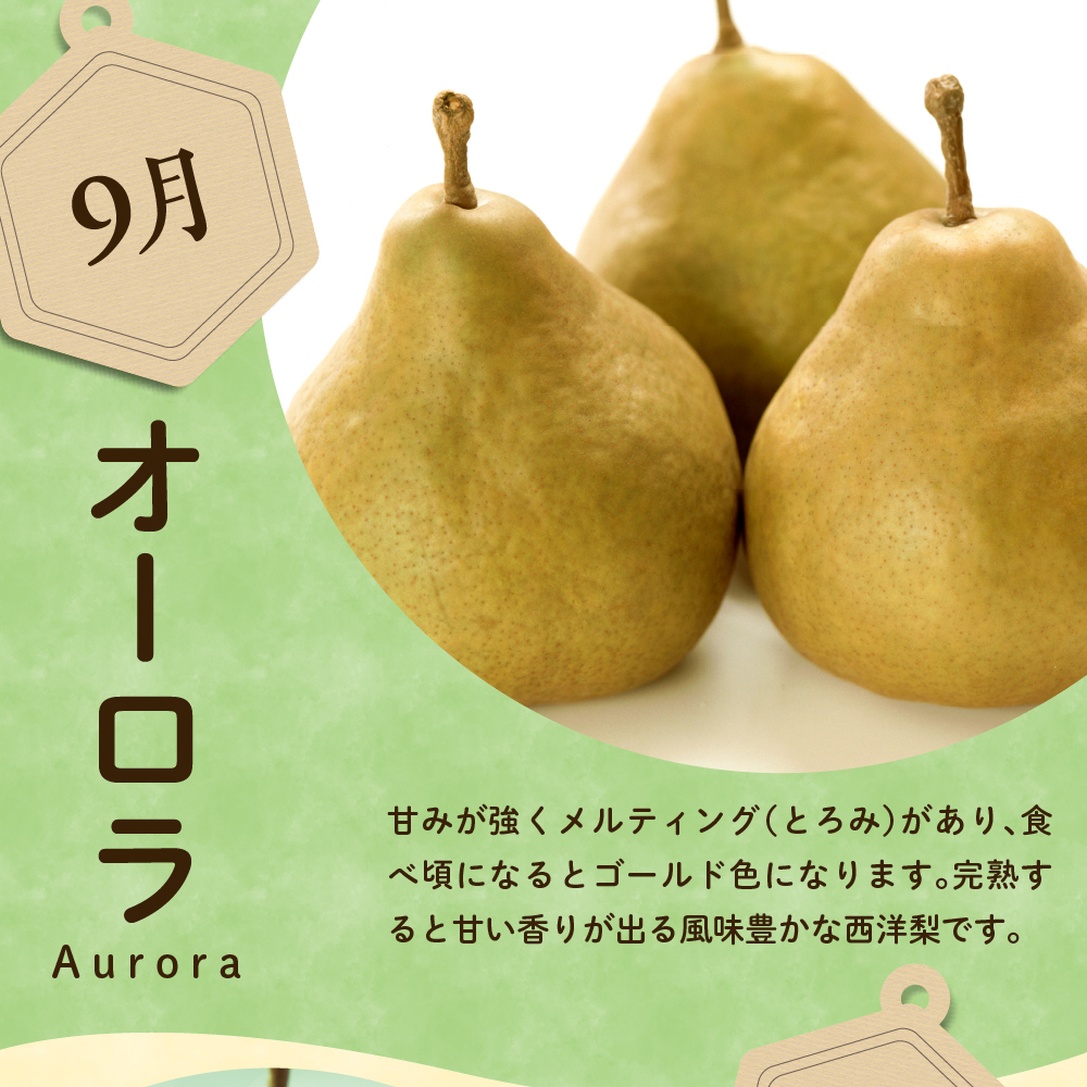 ãå
è¡äºçŽã å®æäŸ¿ 什å8å¹Žç£ è¥¿æŽæ¢šã®å®æäŸ¿ å
š4å é
é 4çš® à çŽ2kg èš çŽ8kg ãªãŒãã© ããªã²ããããªãŒã© ã©ã»ãã©ã³ã¹ ã·ã«ããŒãã« ãã«ãŒãã¢ããã€ã¶ãŒ å³éž 2025幎9æäžæ¬é ïœ çºééå§äºå® 山圢ç 米沢åž