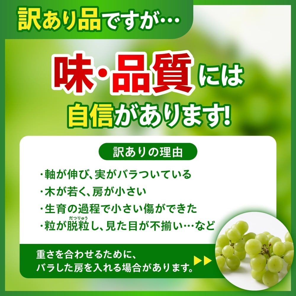 ãå
è¡äºçŽã 什å8å¹Žç£ èš³ãã ã·ã£ã€ã³ãã¹ã«ãã 1kg 2026幎9æäžæ¬é ïœãå±ãäºå®