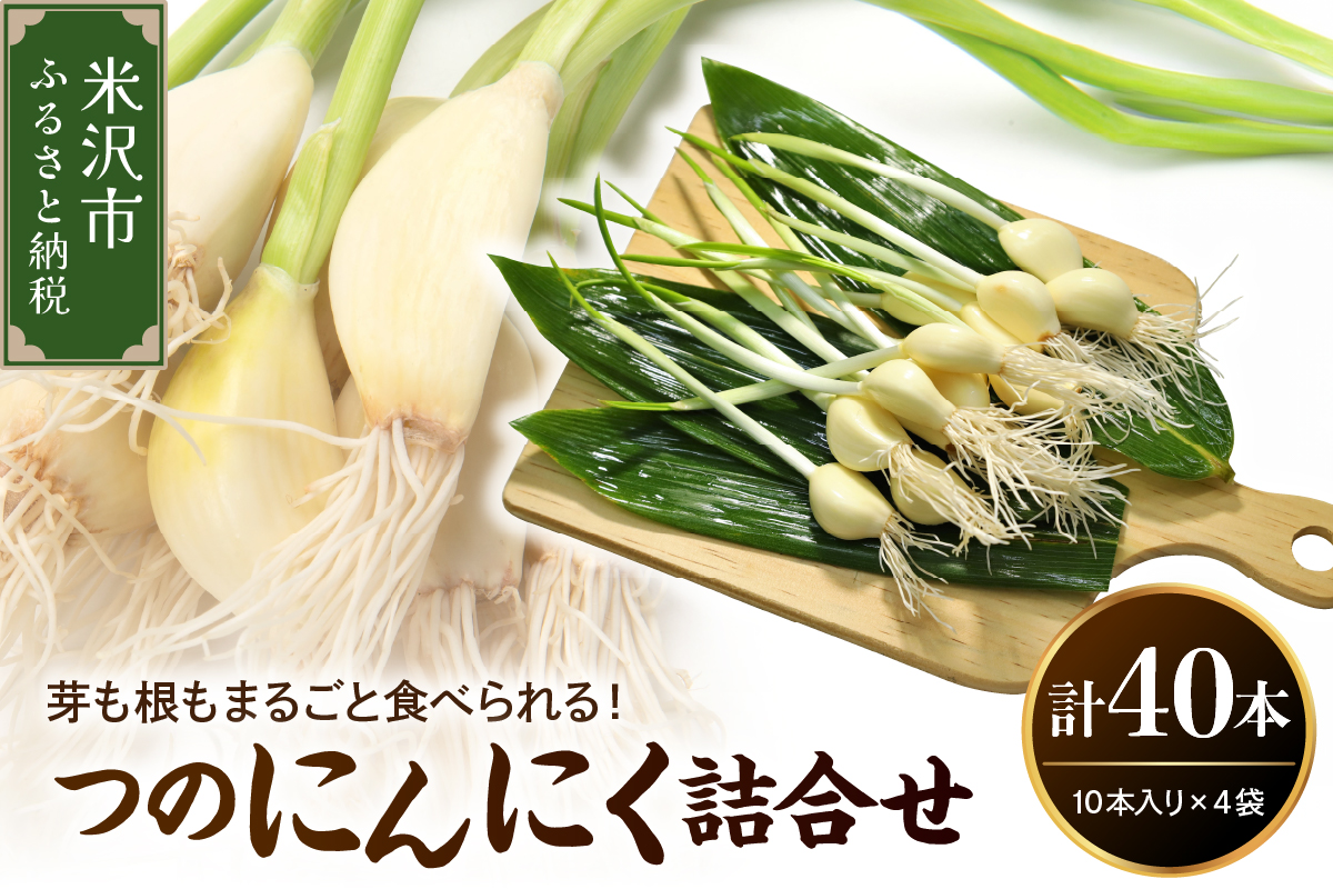 つのにんにく 詰合せ 4袋（1袋10本入り）計40本