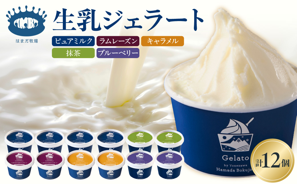生乳ジェラートバラエティセット 12個 ミルク ラムレーズン キャラメル 抹茶 ブルーベリー