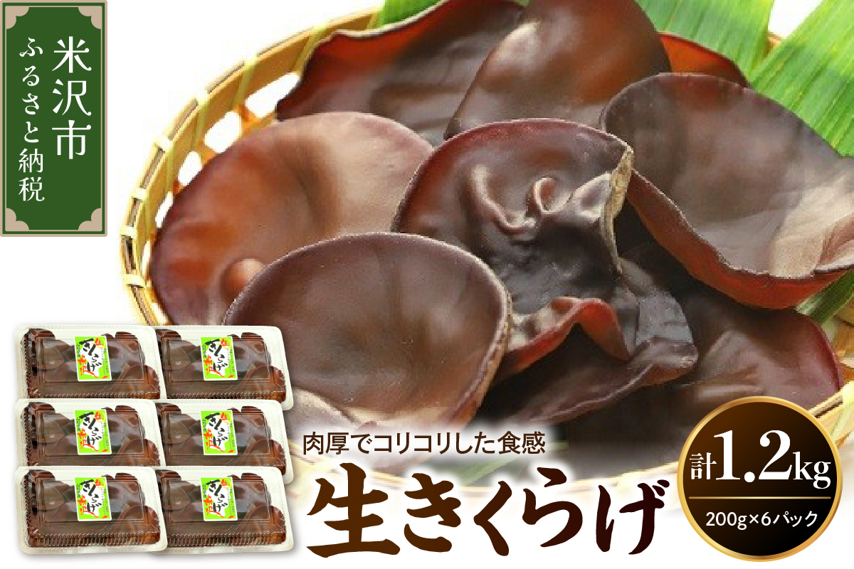 《先行予約》【 期間限定 】 生きくらげ 計 1.2kg （ 200g × 6パック ）〔 2026年 6月 ～ 10月 中旬頃お届け 〕 米沢産 栽培期間中 農薬不使用 きくらげ きのこ 冷蔵