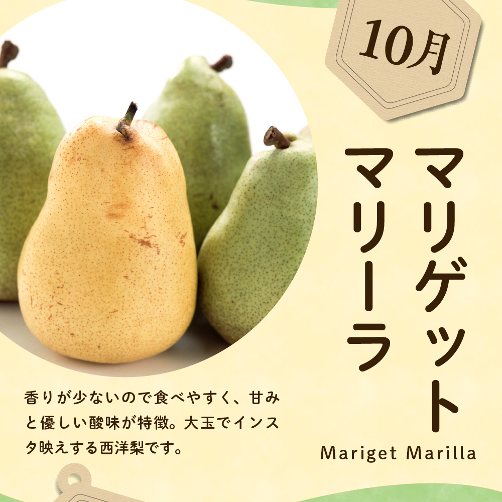 ãå
è¡äºçŽã å®æäŸ¿ 什å8å¹Žç£ è¥¿æŽæ¢šã®å®æäŸ¿ å
š4å é
é 4çš® à çŽ2kg èš çŽ8kg ãªãŒãã© ããªã²ããããªãŒã© ã©ã»ãã©ã³ã¹ ã·ã«ããŒãã« ãã«ãŒãã¢ããã€ã¶ãŒ å³éž 2025幎9æäžæ¬é ïœ çºééå§äºå® 山圢ç 米沢åž
