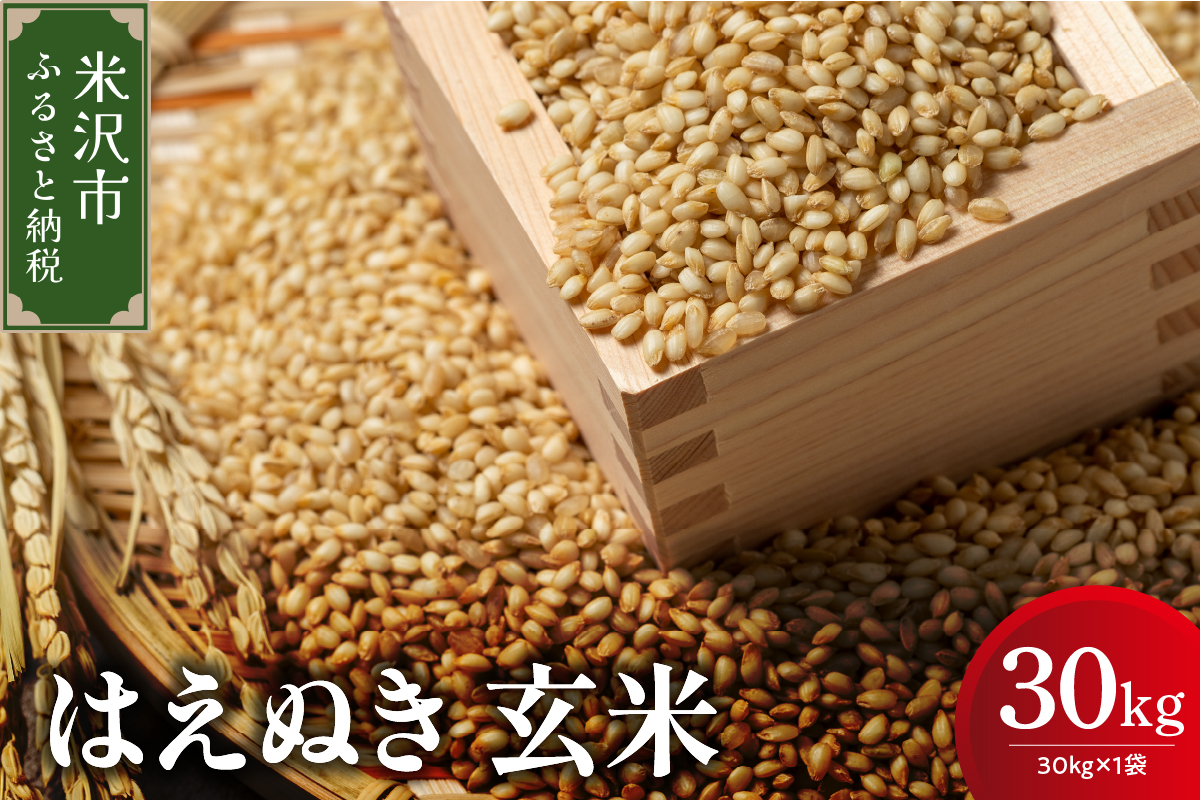 【先行予約】令和8年産 はえぬき 玄米 30kg （ 30kg × 1袋 ） 産地直送 2026年産 米沢産 玄米 山形県 米沢市