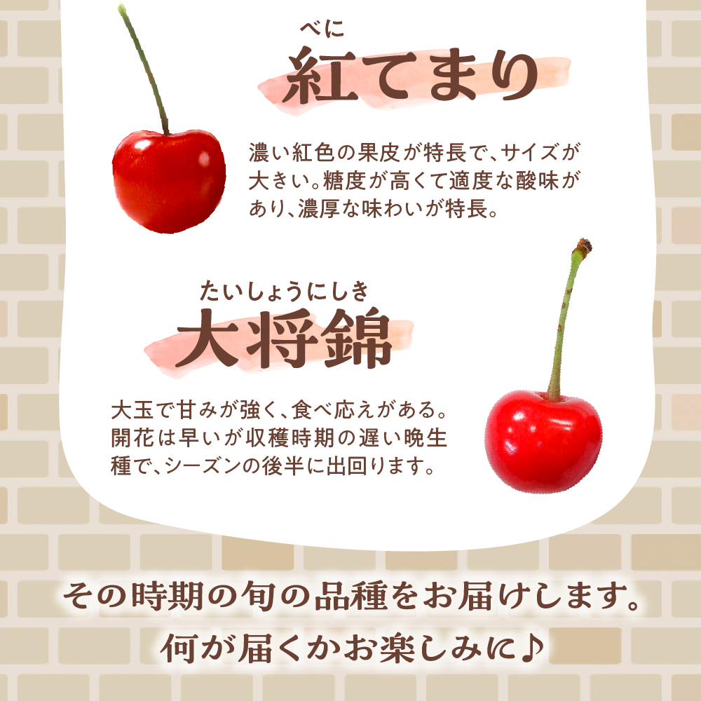【先行予約】 令和8年産 さくらんぼ 300g ( 100g × 3パック ) 品種おまかせ ( 佐藤錦 紅秀峰 紅てまり 大将錦 いずれか )