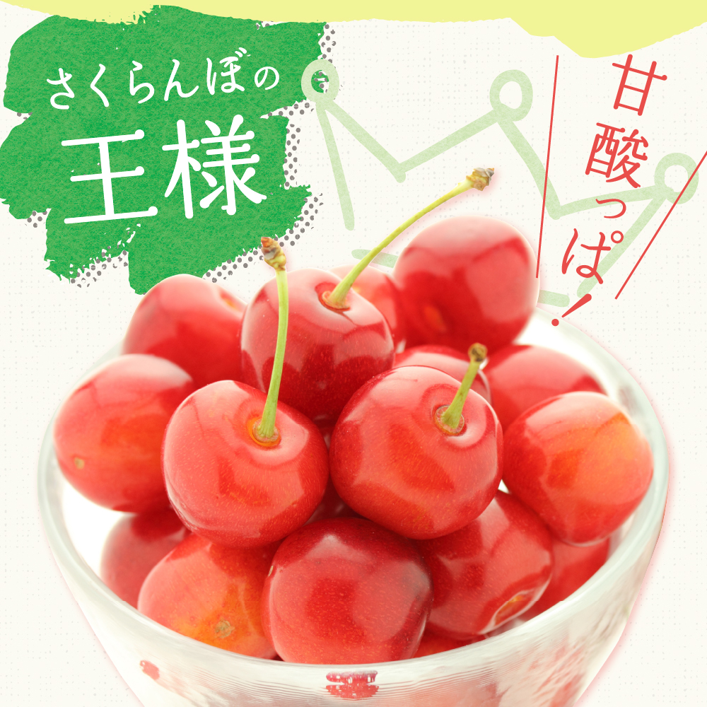 【先行予約】 令和8年産 さくらんぼ 佐藤錦 1kg ( 手詰め ) 2026年6月上旬～下旬頃お届け予定 山形県 米沢市