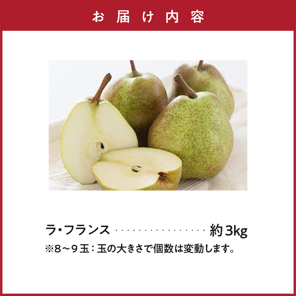 【先行予約】 令和8年産 ラ・フランス 約3kg 8玉 ～ 9玉 西洋梨 2026年11月上旬～12月上旬 お届け予定 山形県 米沢市