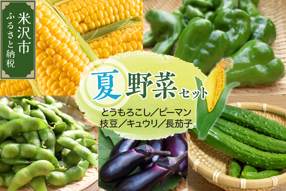 【先行予約】 令和8年産 トウモロコシと夏野菜セット セブンティーントウモロコシ ピーマン 長茄子 キュウリ 枝豆 2026年8月上旬～下旬頃 お届け予定