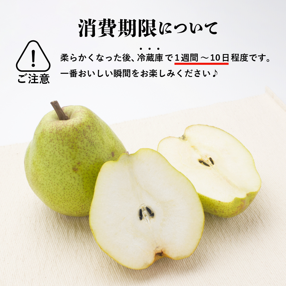 【先行予約】 令和8年産 ラ・フランス 特秀 約3kg 7玉 ～ 10玉 2026年11月中旬～下旬頃 お届け予定 山形県 米沢市