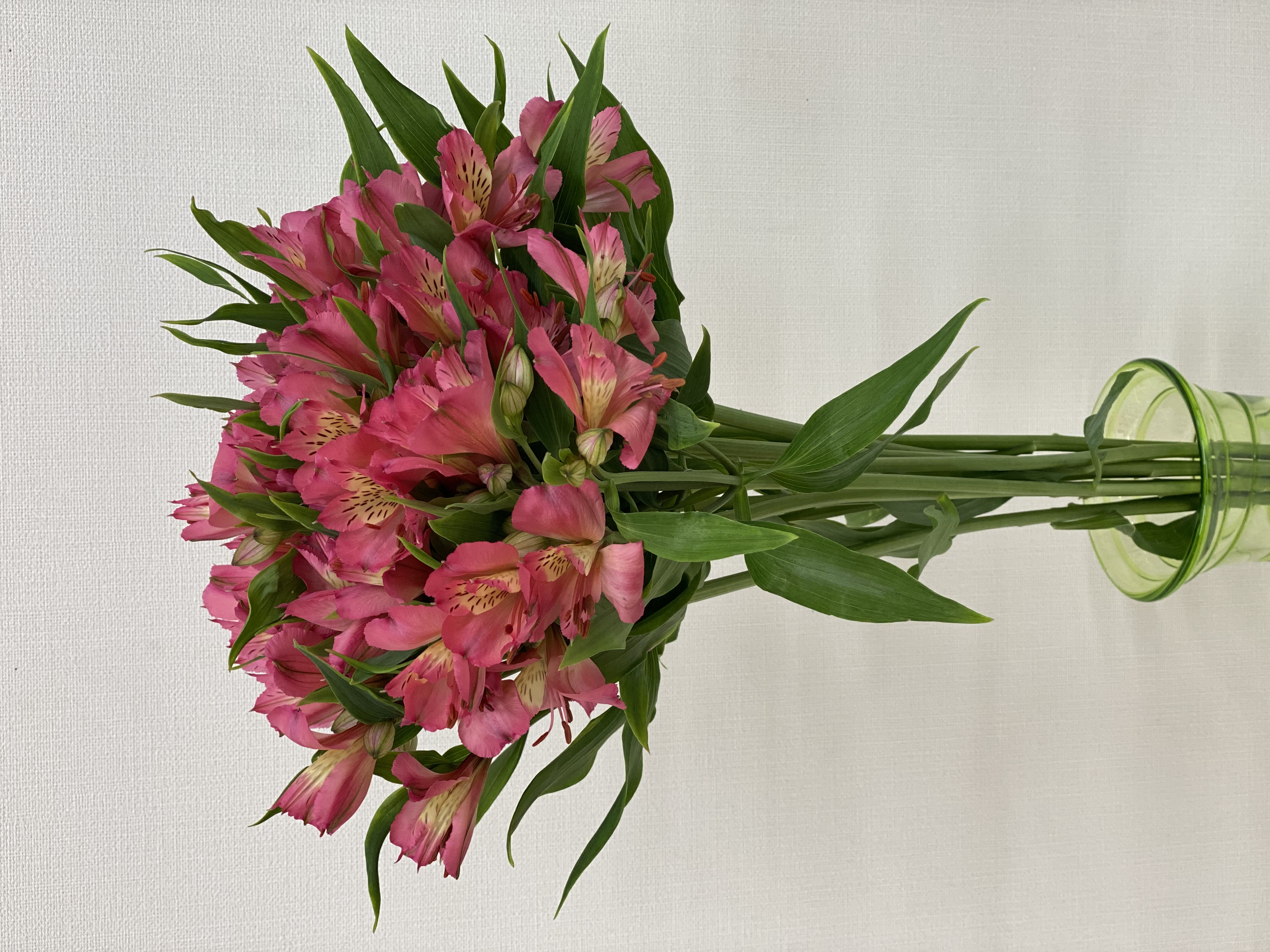 アルストロメリア 1束 ( 10本入り ) ピンク系 切り花