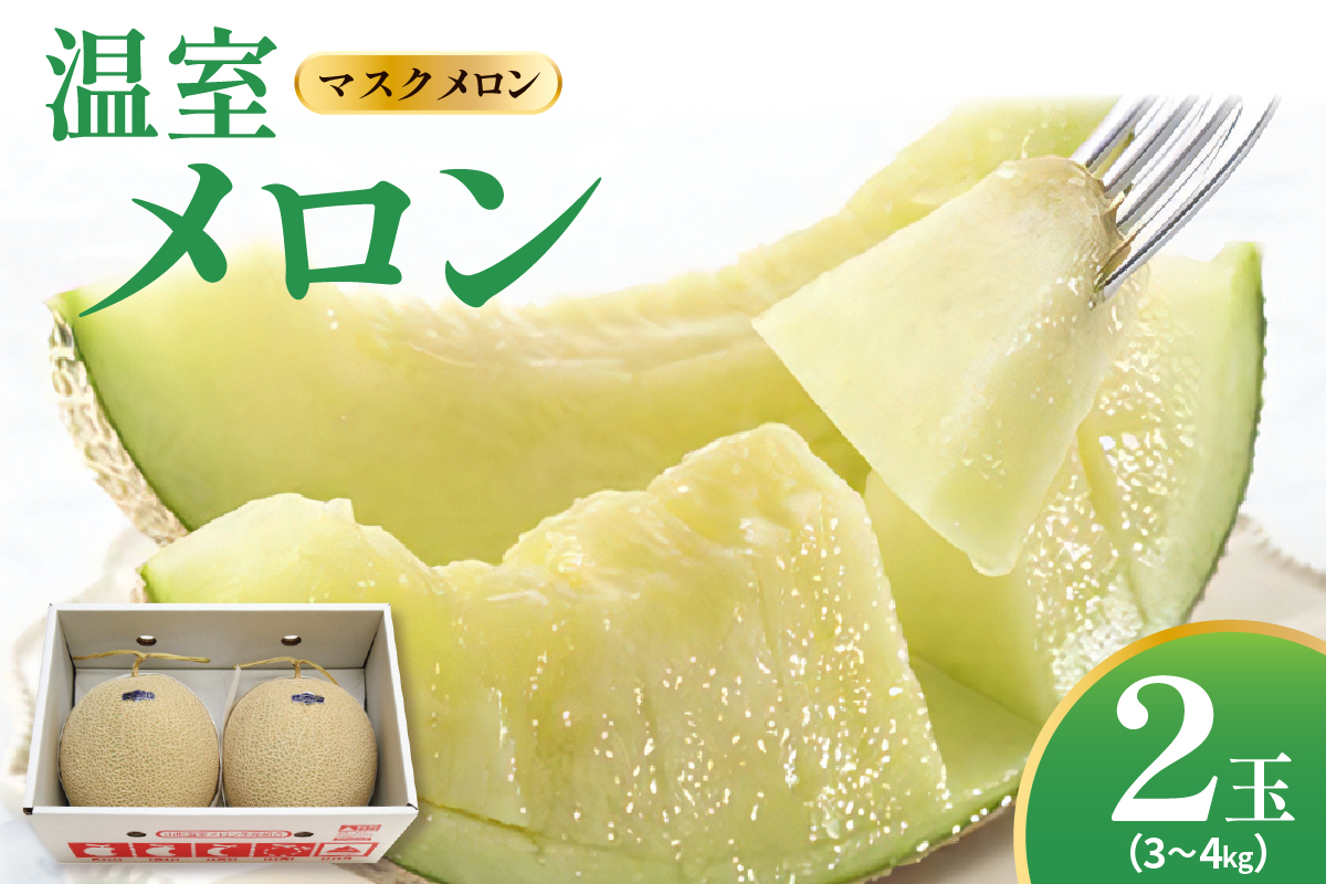 【先行予約】 令和8年産 温室 メロン マスクメロン 2玉 ( 3～4kg程度 ) 2026年9月上旬～中旬頃 お届け予定