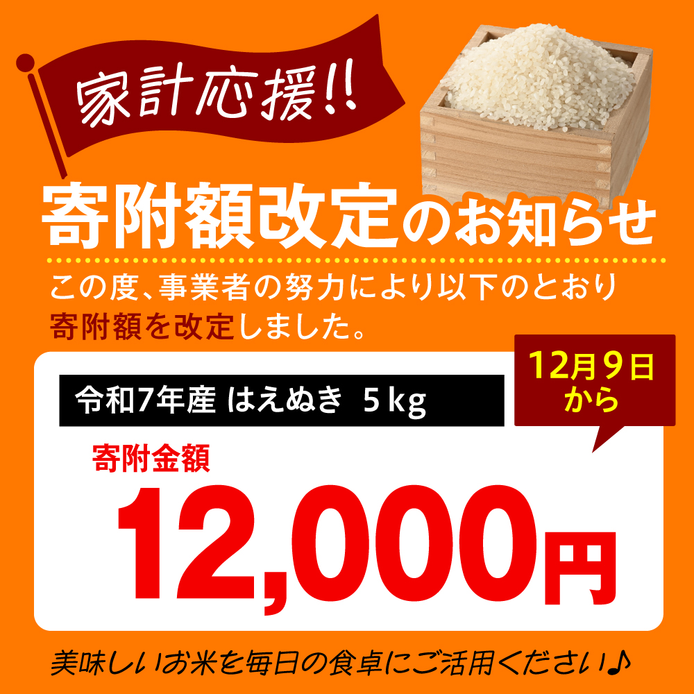 令和7年産 はえぬき 5kg（5kg×1袋）お米マイスター厳選米 2025年産