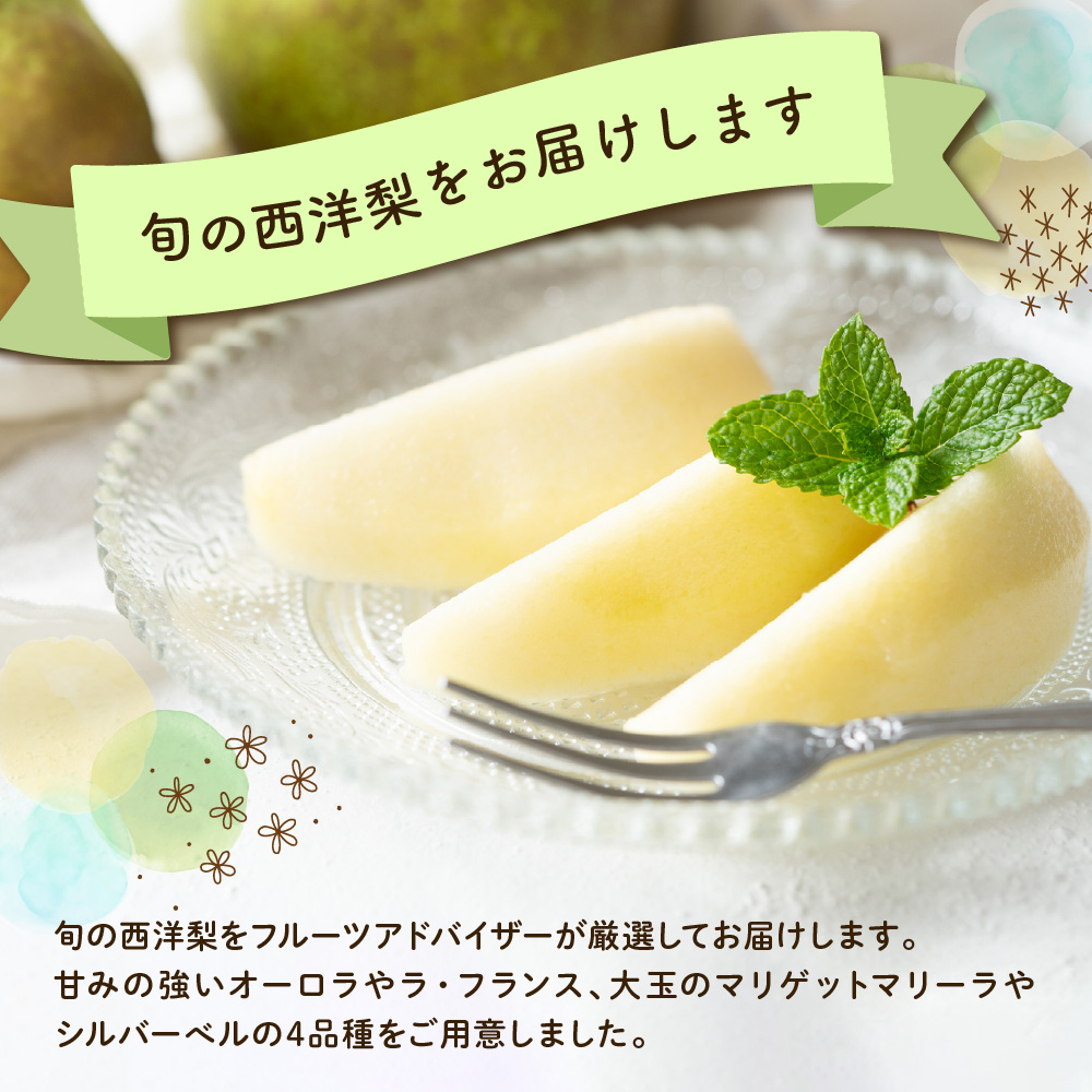ãå
è¡äºçŽã å®æäŸ¿ 什å8å¹Žç£ è¥¿æŽæ¢šã®å®æäŸ¿ å
š4å é
é 4çš® à çŽ2kg èš çŽ8kg ãªãŒãã© ããªã²ããããªãŒã© ã©ã»ãã©ã³ã¹ ã·ã«ããŒãã« ãã«ãŒãã¢ããã€ã¶ãŒ å³éž 2025幎9æäžæ¬é ïœ çºééå§äºå® 山圢ç 米沢åž