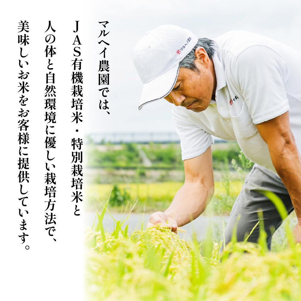 令和7年産 特別栽培米 つや姫 2合 8袋 セット ( 1袋 300g ) 計2.4kg 