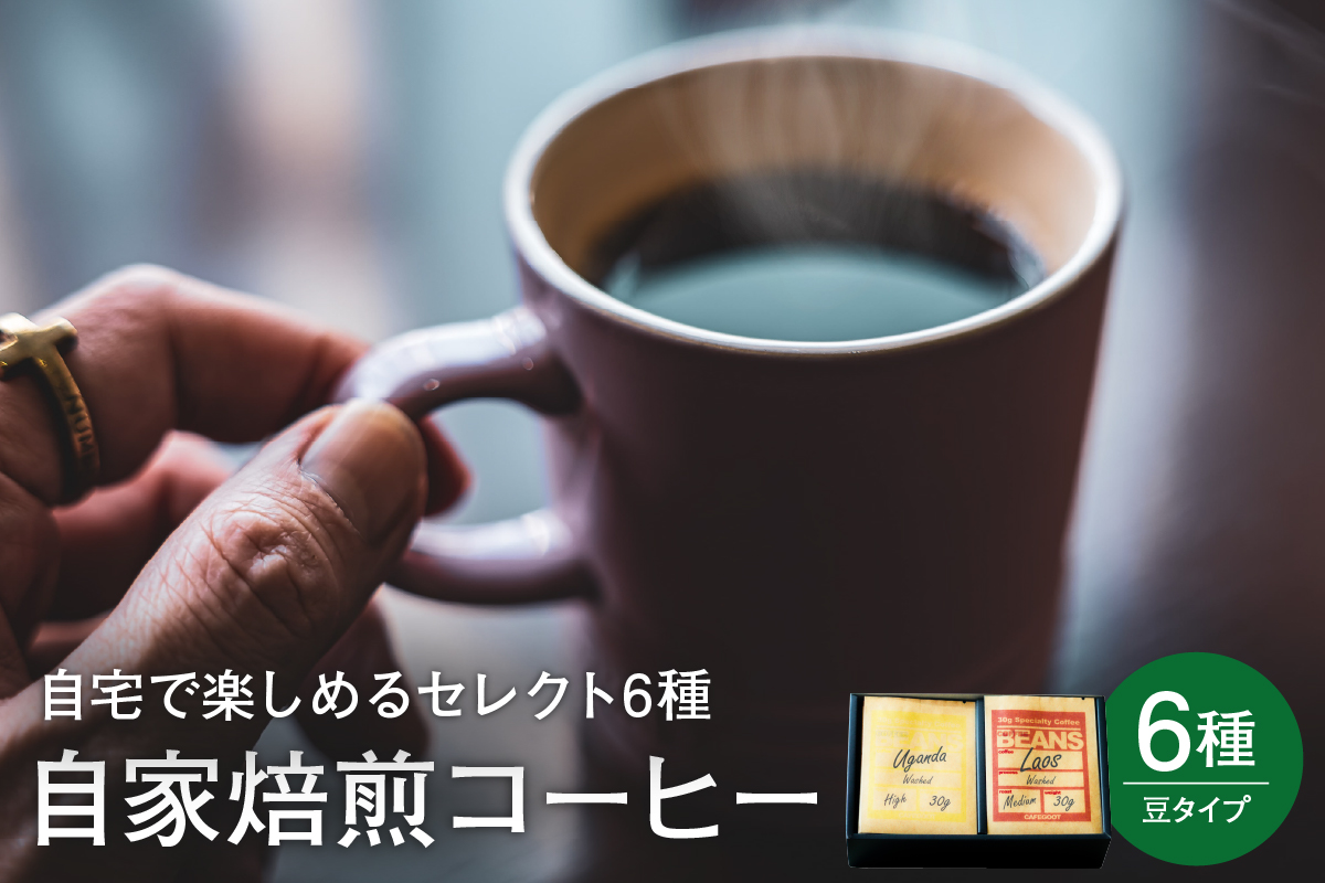 自宅で楽しめる セレクト 6種 自家焙煎 コーヒー 6袋 ( 1袋 30g ) 【豆タイプ】 自家焙煎珈琲 カフェグート