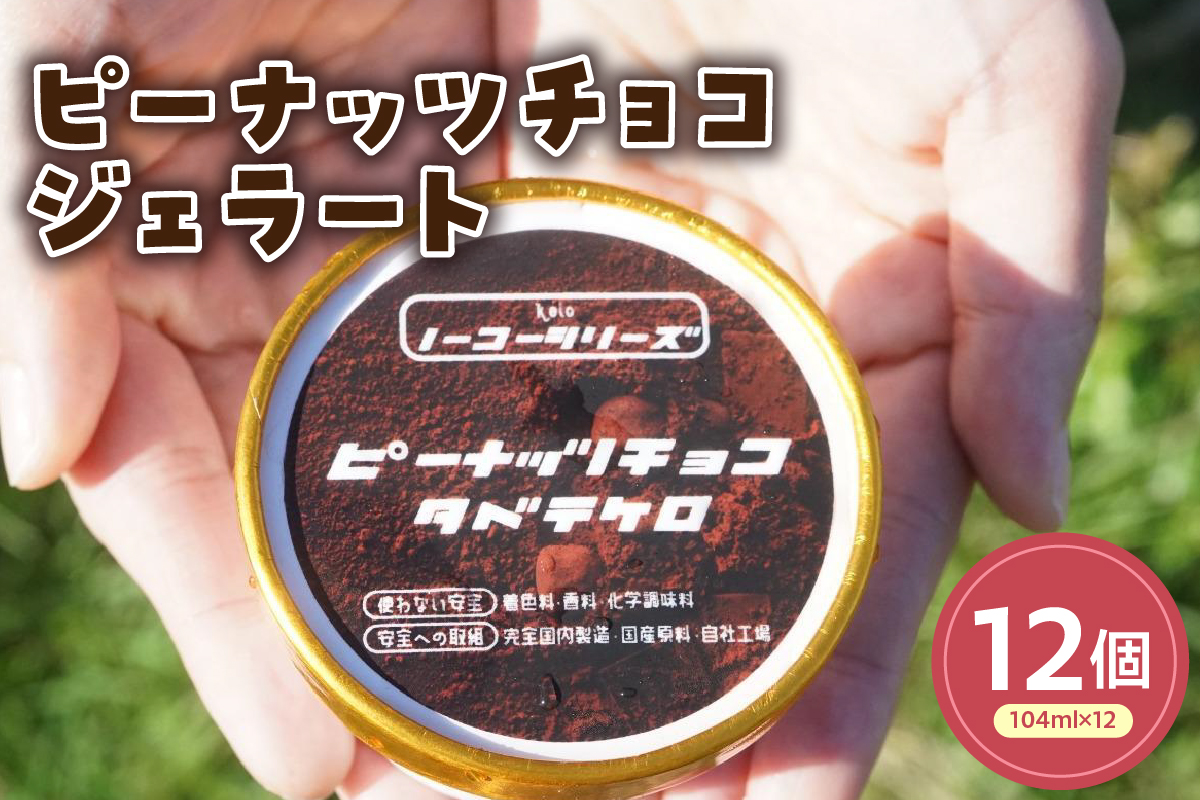 ピーナッツチョコジェラート(104ml)〔12個入り〕 ピーナッツ アイス スイーツ 洋菓子 お菓子 デザート 贈答 贈り物 ギフト プレゼント お取り寄せ 送料無料 山形県 米沢市