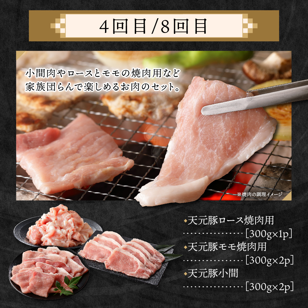 【定期便】 8ヶ月定期便 天元豚 セット 全8回 豚肉 ロース バラ 小間 モモ 挽き肉 便利 小分け 冷凍 豚肉 しゃぶしゃぶ 焼肉 とんかつ 定期 コース 食べ比べ 詰め合わせ ブランド豚 ロース ひき肉 小間 バラ モモ 豚 スライス サイコロ おかず お取り寄せ 東北 山形県 米沢市