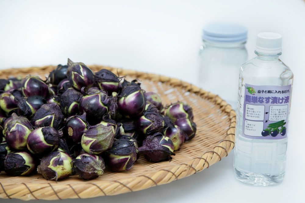 【先行予約】 定期便 全5回 配送 令和8年産 季節めぐりセット 野菜の定期便 山菜 夏野菜 芋煮 寒中野菜 漬物