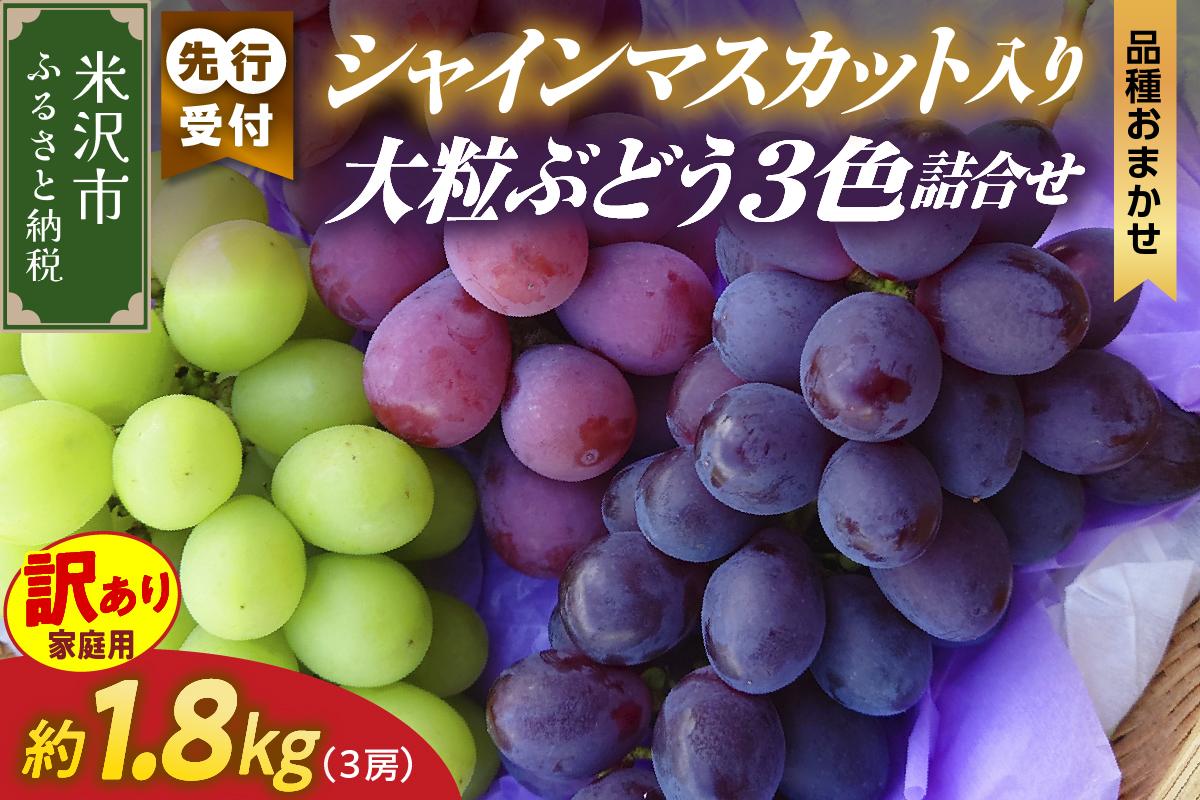 【先行予約】【数量限定】【令和8年産】家庭用 訳あり シャインマスカット入り 3色 大粒ぶどう 詰合せ 3種類 1.8kg 3房 2026年9月15日～9月30日頃お届け予定