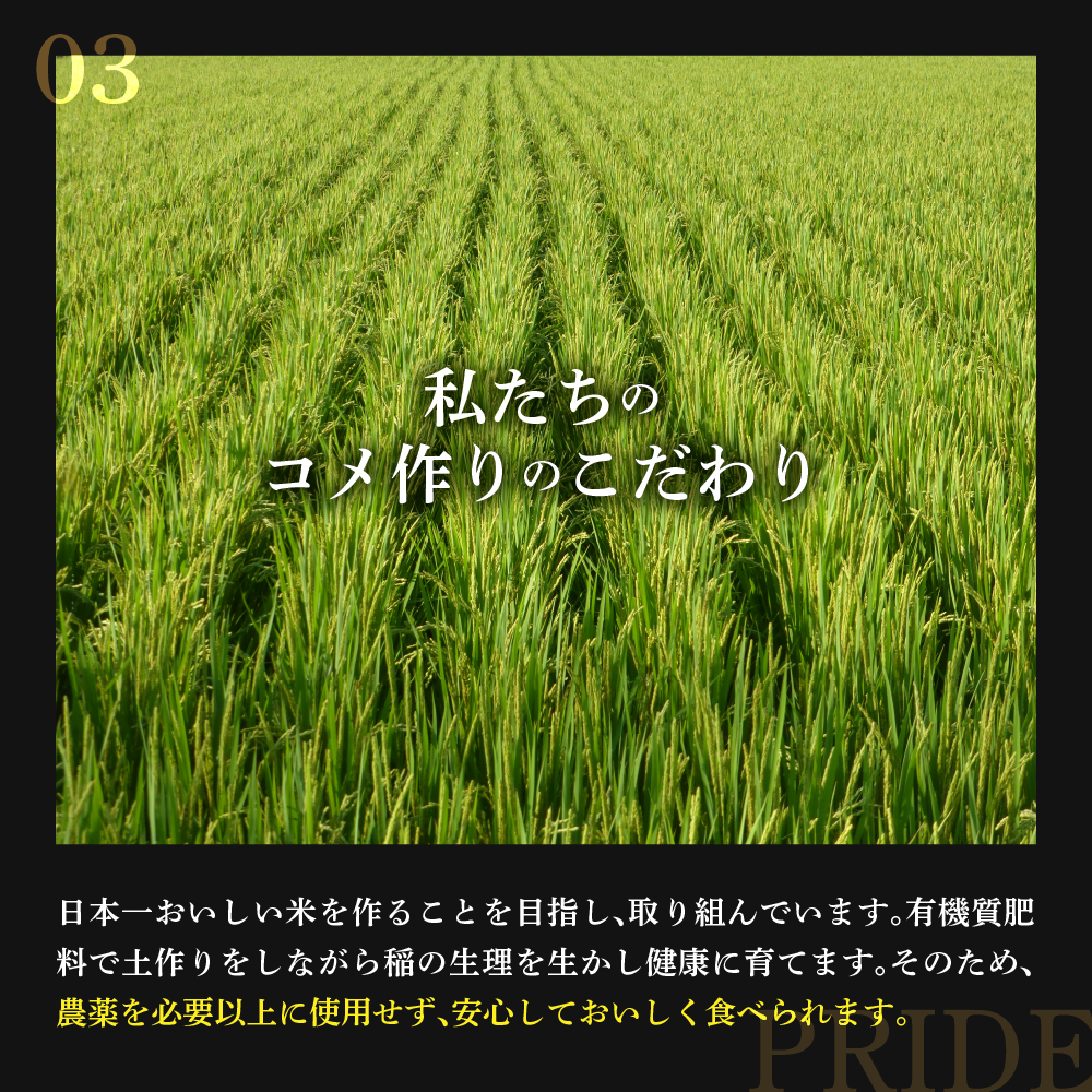 【 令和7年産 】 特別栽培米 もち米 （ ヒメノモチ ） 計 2kg （ 1kg × 2袋 ） 