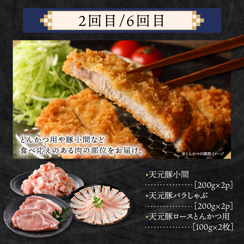 【定期便】 8ヶ月定期便 天元豚 セット 全8回 豚肉 ロース バラ 小間 モモ 挽き肉 便利 小分け 冷凍 豚肉 しゃぶしゃぶ 焼肉 とんかつ 定期 コース 食べ比べ 詰め合わせ ブランド豚 ロース ひき肉 小間 バラ モモ 豚 スライス サイコロ おかず お取り寄せ 東北 山形県 米沢市