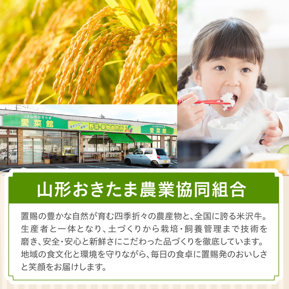 令和7年産 山形県産 はえぬき 5kg 精米 白米 2025年産 産地直送 山形県 米沢市
