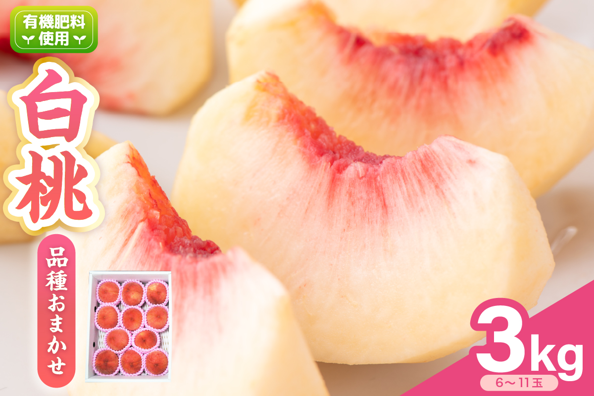 yo101-001【R8年産】もも ３kg　※品種おまかせ