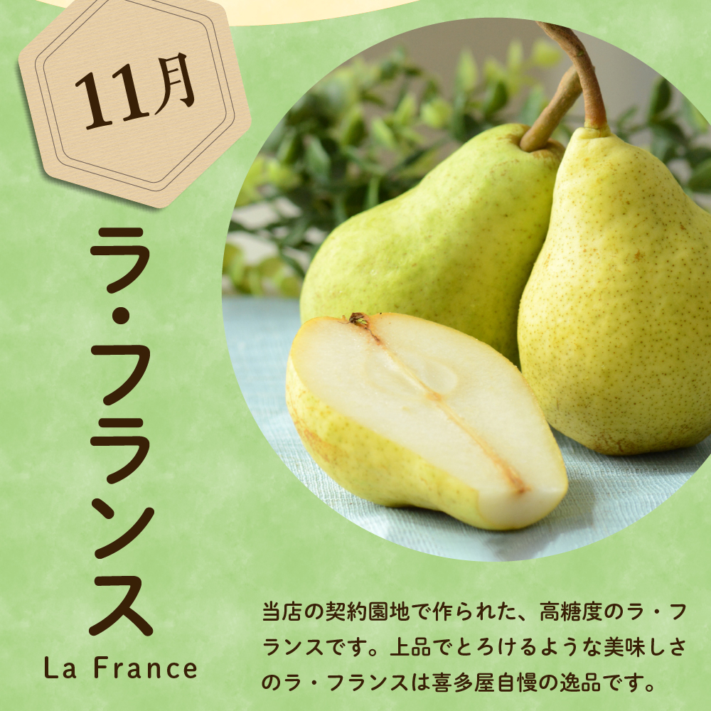 ãå
è¡äºçŽã å®æäŸ¿ 什å8å¹Žç£ è¥¿æŽæ¢šã®å®æäŸ¿ å
š4å é
é 4çš® à çŽ2kg èš çŽ8kg ãªãŒãã© ããªã²ããããªãŒã© ã©ã»ãã©ã³ã¹ ã·ã«ããŒãã« ãã«ãŒãã¢ããã€ã¶ãŒ å³éž 2025幎9æäžæ¬é ïœ çºééå§äºå® 山圢ç 米沢åž