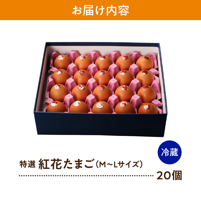 特選 紅花 生たまご 20個 贈答 ギフト 卵 赤玉 たまご 鶏卵 生卵 玉子 濃厚 極上 産地直送 新鮮 産みたて 山形県 米沢市