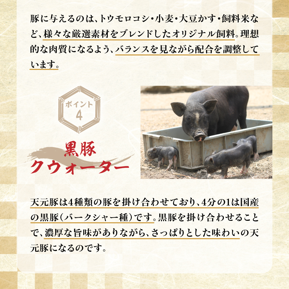 天元豚 豚肉 ブロック肉 ( 豚ロース ) 2kg ( 約2kg×1袋 ) 冷蔵 国産 ブランド豚 ポークソテー ポークステーキ お取り寄せ グルメ 送料無料 山形県 米沢市