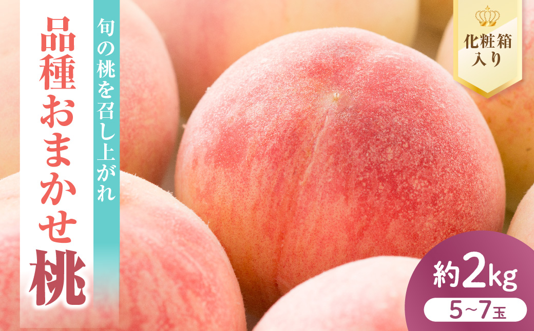 【先行予約】 数量限定 令和8年産 もも 品種 おまかせ 約2kg 5～7玉 桃 2026年8月中下旬～9月上旬頃 お届け予定 山形県 米沢市