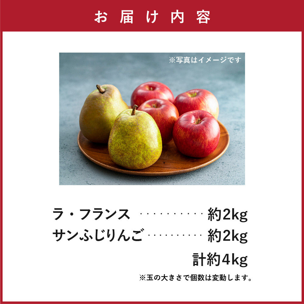 【先行予約】 令和8年産 りんご ＆ ラ・フランス 詰め合わせ セット 各 約2kg 計 約4kg サンふじ 西洋梨 2026年11月中旬～下旬頃 お届け予定 山形県 米沢市