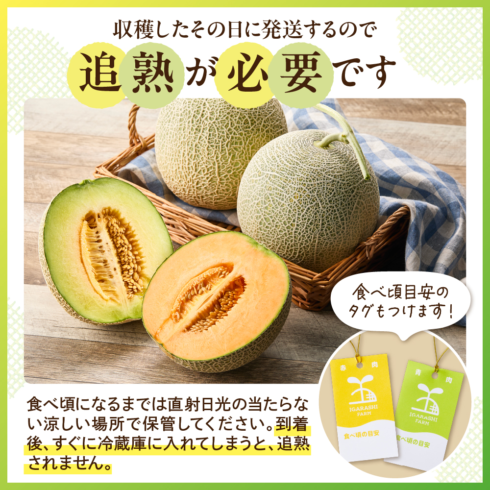 ãå
è¡äºçŽã 什å8å¹Žç£ èµ€èã¡ãã³ ( ã¯ã€ã³ã·ãŒ719 ) 1ç 2kgä»¥äž 2026幎7æäžæ¬ïœ8æäžæ¬é ãå±ãäºå®