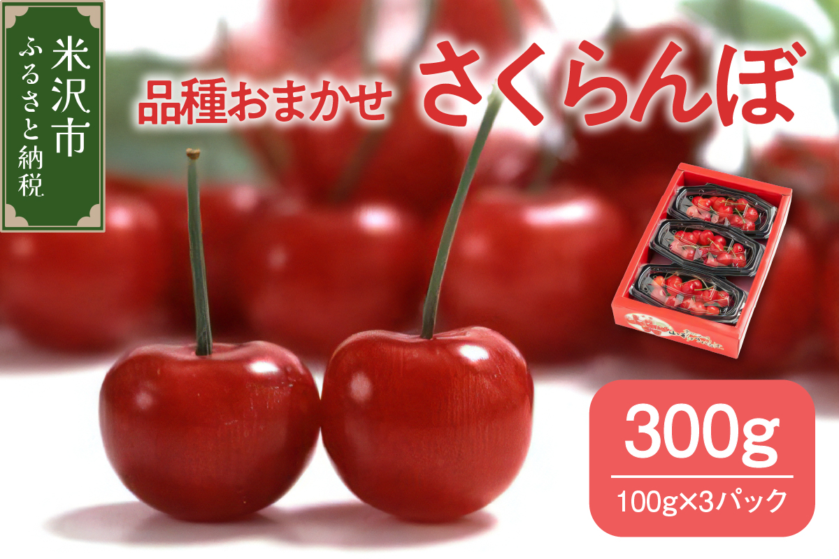 【先行予約】 令和8年産 さくらんぼ 300g ( 100g × 3パック ) 品種おまかせ ( 佐藤錦 紅秀峰 紅てまり 大将錦 いずれか )