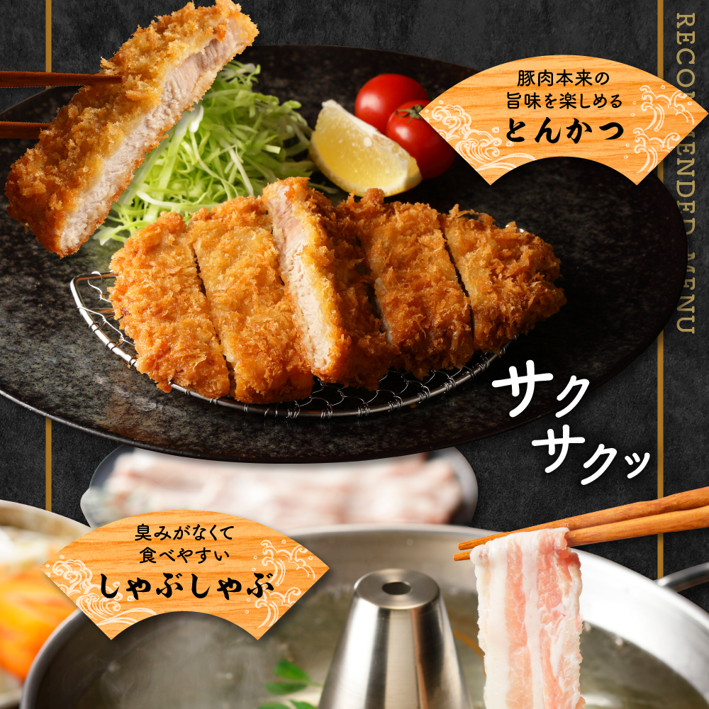 天元豚 よくばり詰合せセット 計1.2kg しゃぶしゃぶ 焼肉 とんかつ 豚肉 しゃぶしゃぶ 焼肉 とんかつ 食べ比べ 詰め合わせ 便利 小分け ブランド豚 安全 ヘルシー ポーク 低カロリー おかず お取り寄せ 送料無料 東北 山形県 米沢市